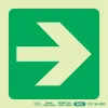 PHOTOLUMINESCENT 190MM SAFETY SIGN -E21-ARROW RIGHT — Progress Office Furniture Durban
