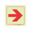 PHOTOLUMINESCENT 190MM SAFETY SIGN - F36-ARROW RIGHT — Progress Office Furniture Durban