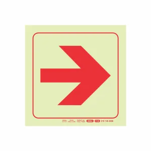 PHOTOLUMINESCENT 190MM SAFETY SIGN - F36-ARROW RIGHT — Progress Office Furniture Durban