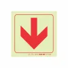PHOTOLUMINESCENT 190MM SAFETY SIGN - F38-ARROW DOWN — Progress Office Furniture Durban