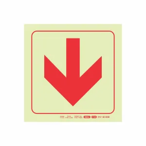 PHOTOLUMINESCENT 190MM SAFETY SIGN - F38-ARROW DOWN — Progress Office Furniture Durban