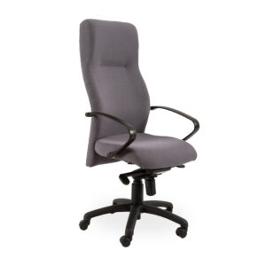 Cayman High Back High Back Office Chair