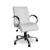 Mandeville Medium Back Executive Office Chair