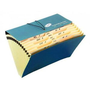BANTEX Expanding FILE BOARD Foolscap 16 Partition