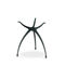 1130_Gecko-Lite-3-leg_affd0f7b9f7eef109b2c25bdaac3b0d7 1130 Gecko Lite 3 leg affd0f7b9f7eef109b2c25bdaac3b0d7