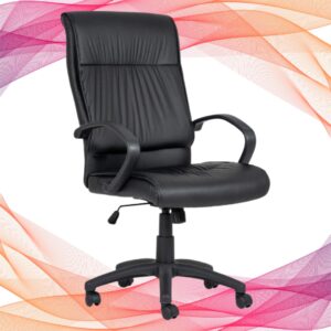 Goose High Back Chair 1 Goose High Back - High Back Office Chairs from Progress Office Furniture
