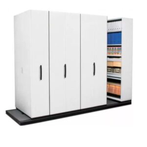 Bulk Filer Shelving System