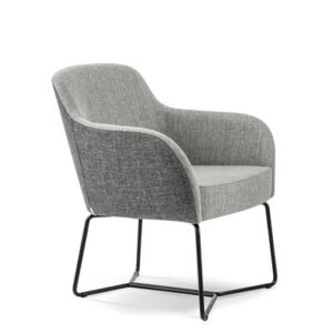 Boxx Occasional Tubular Y-Shape Frame