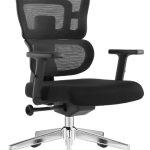 Up-&-Ergo