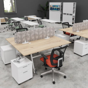 agile office entrawood 2 of