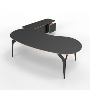 SHELL EXECUTIVE SIDE STORAGE XTREME MATT+PLY