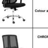 Chrome Lenny Visitor Chair
