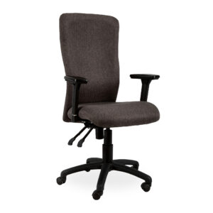 Spine Ergonomic High Back Office Chair 1 po hero 127641