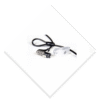 polock 011
