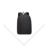 polock 099