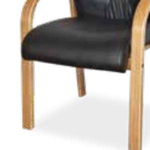 Salvador Visitors 4 Legged Chair