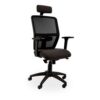 sienna hb 2024 300x300 1